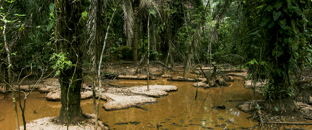 1500 år gamla bosättningar funna i Amazonas.