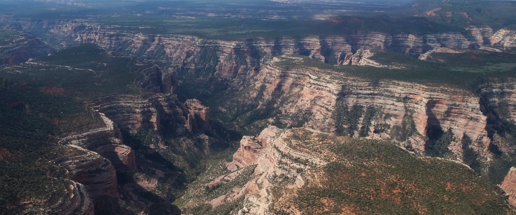 Arch Canyon ligger i Bears Ears National Monument i Utah som nu kommer att skötas av USA:s federala markmyndighet och USA:s skogsmyndighet i samarbete med fem ursprungsstammar.
