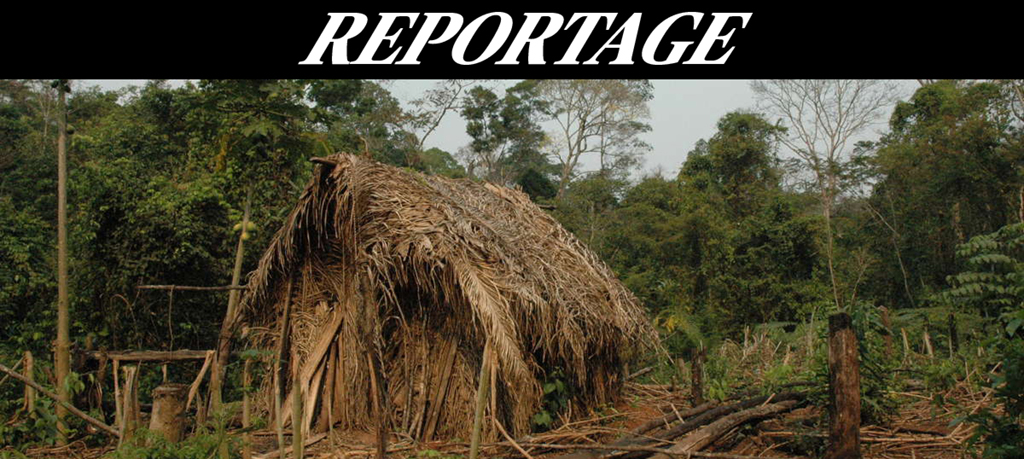 Huts made of organic material were the homes to the man who resided in solitude over 40 years in Tanaru Territory, in the Brazilian state Rondônia.