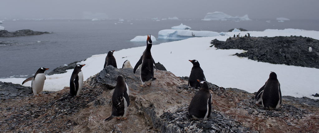 Avsmältningen av Antarktis isar är kanske den tippningspunkt som oroar forskarna mest.