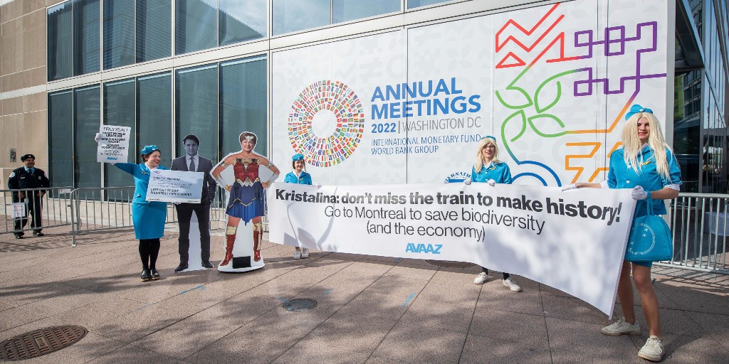 På onsdag inleds FN-konferensen COP15 om biologisk mångfald i Montreal.