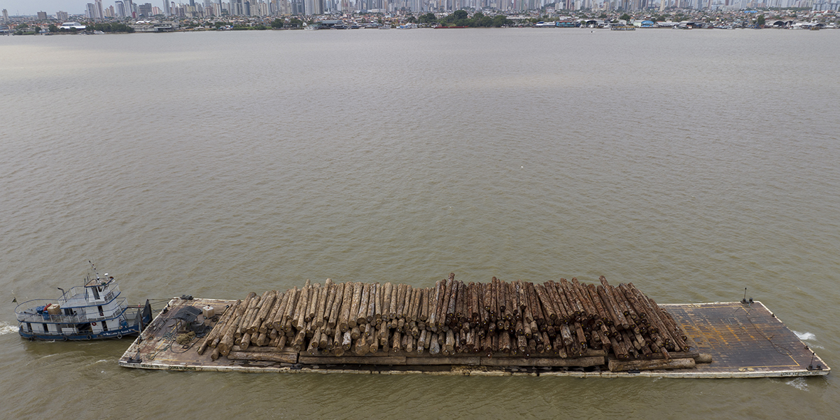 En färja transporterar timmer från Amazonas regnskog i floden Guama i Belem, , Brasilien, lördagen den 14 januari 2023.