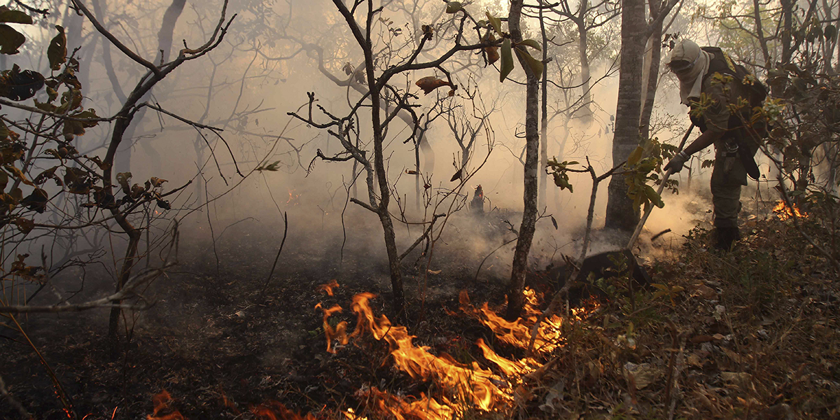 Skogsbrand i en nationalpark i Brasilien 2010.
