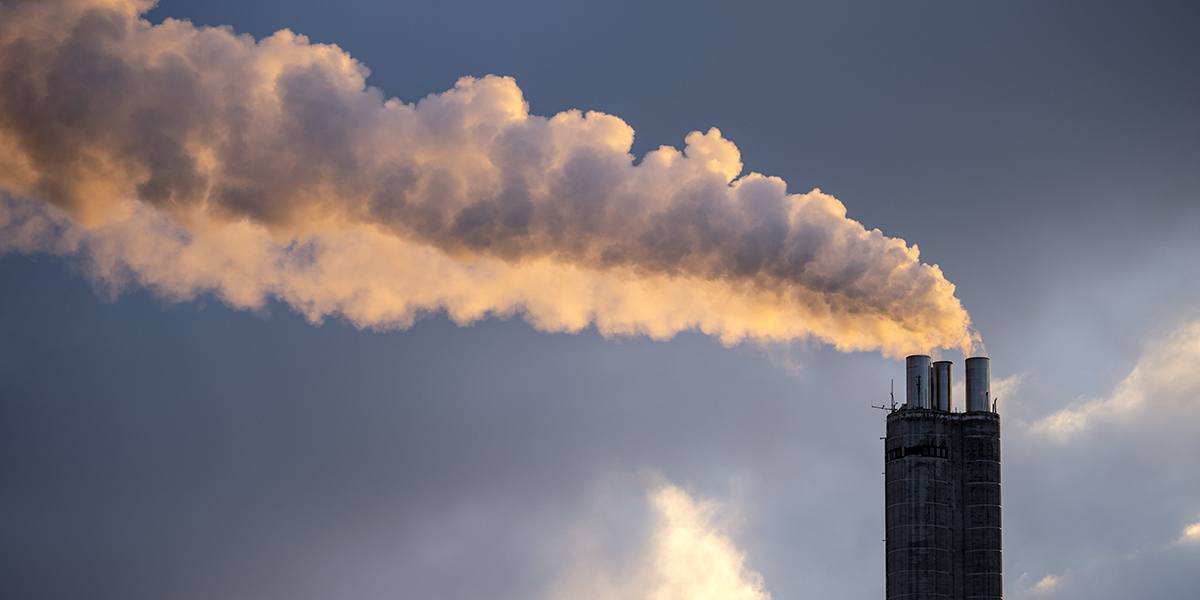 Världsnaturfonden WWF, Clientearth, Transport &amp; Environment och tyska Friends of the Earth vill att EU-kommissionen tänker om när det gäller fossilgas.