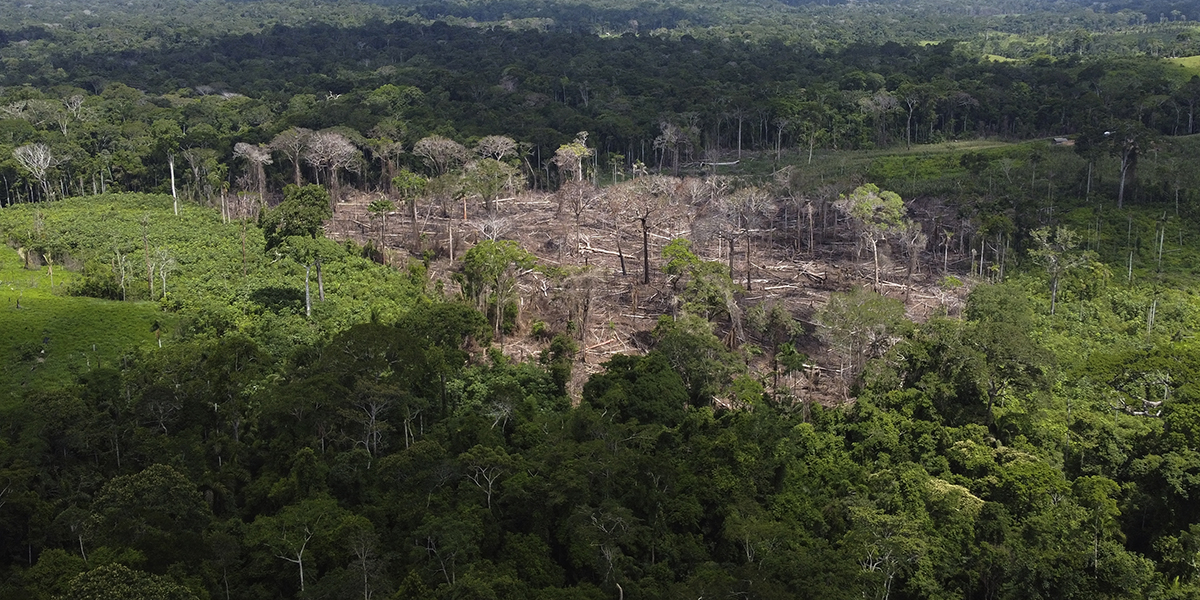 Avskogning i delstaten Acre, Brasilien.