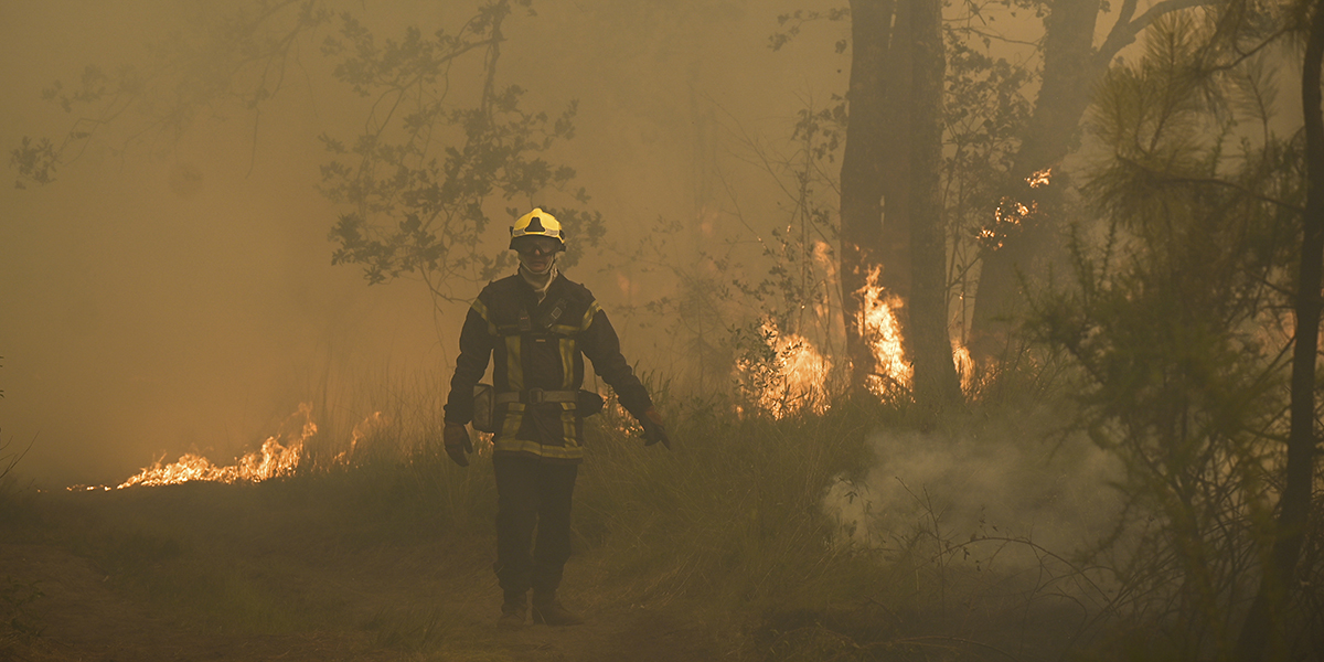 Stora skogsbränder drabbade södra Europa under den heta och torra sommaren 2022.