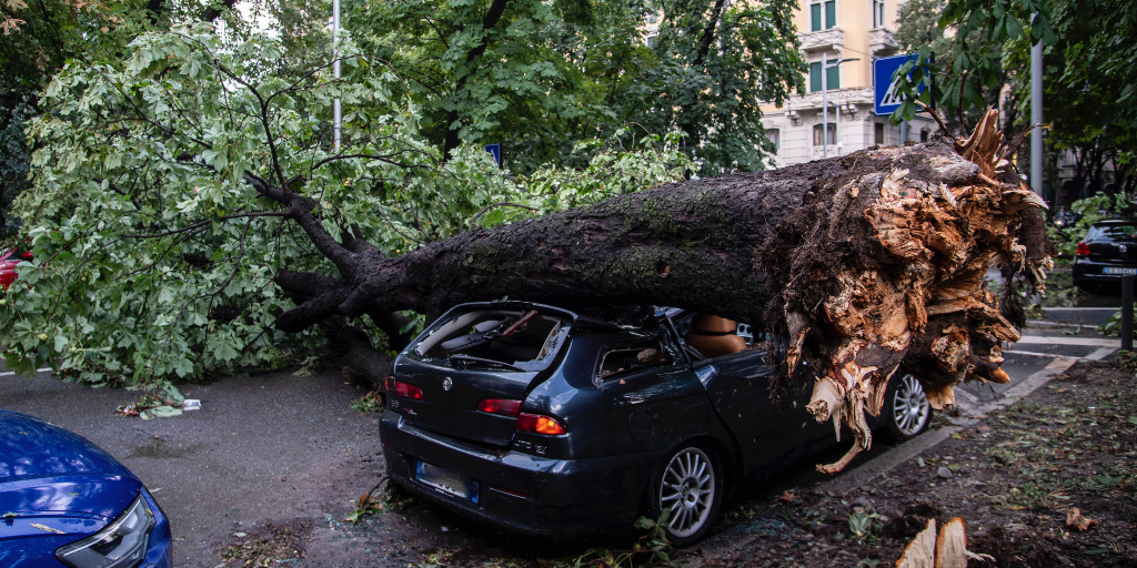 När Milano drabbades av en kraftig storm blockerades många gator av nedfallna träd.