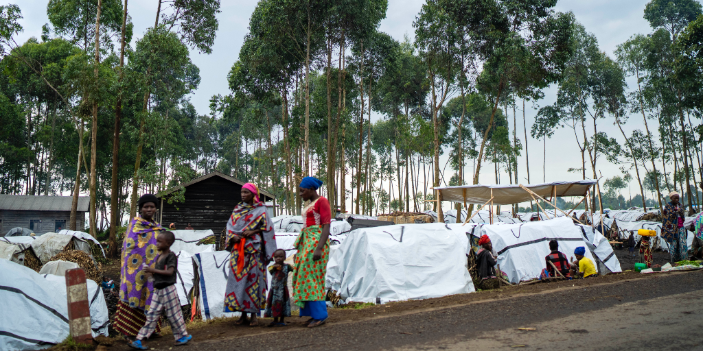 Kongolesiska internflyktingar norr om staden Goma vid Kongo-Kinshasas östra gräns, i november 2022.