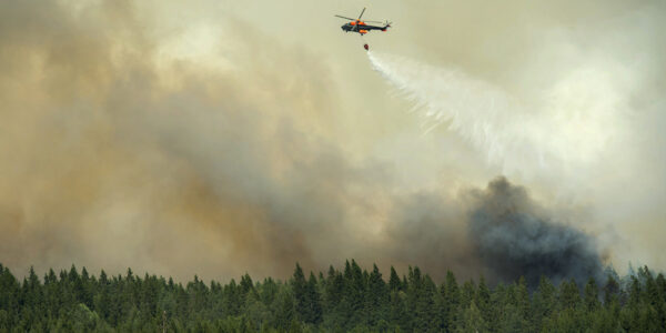 Helikopter vattenbombar skogsbrand