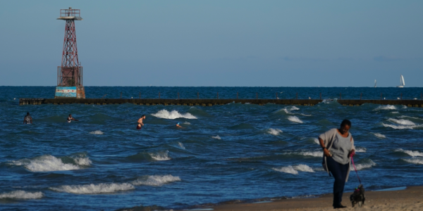 Vågor på Lake Michigan med kvinna och hund i förgrunden.