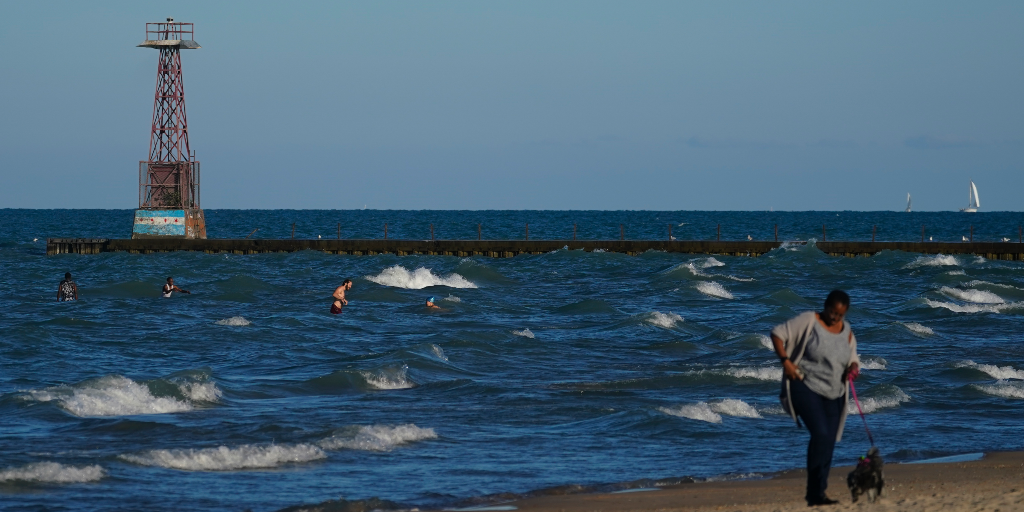 Vågor på Lake Michigan med kvinna och hund i förgrunden.