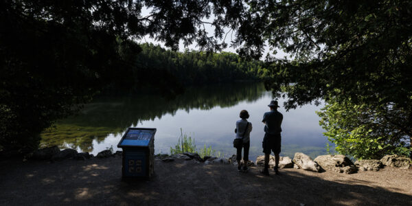 Två människor i silhuett tittar ut över en sjö