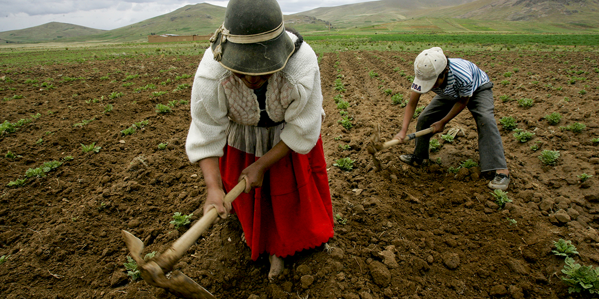 Kvinna och barn arbetar på fältet med hackor.