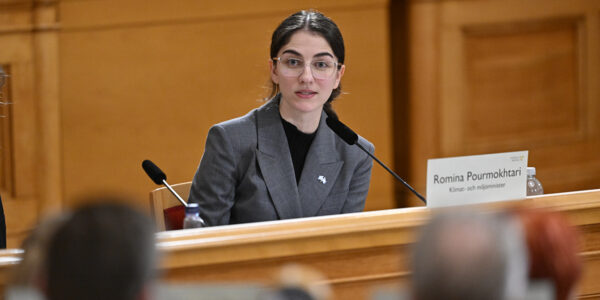 Romina Pourmokhtari (L) frågas ut