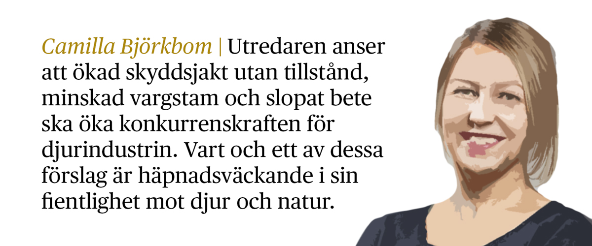 Camilla Björkbom med citat