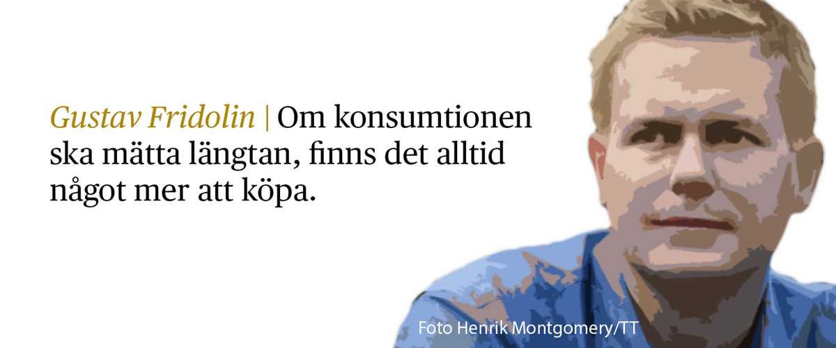 Gustav Fridolin med citat