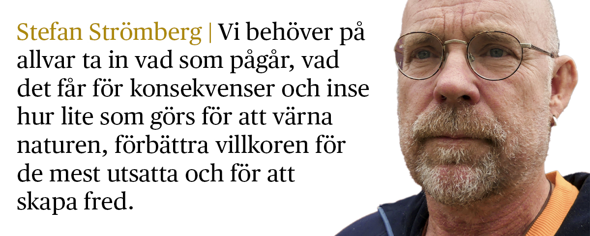 Stefan Strömberg med citat