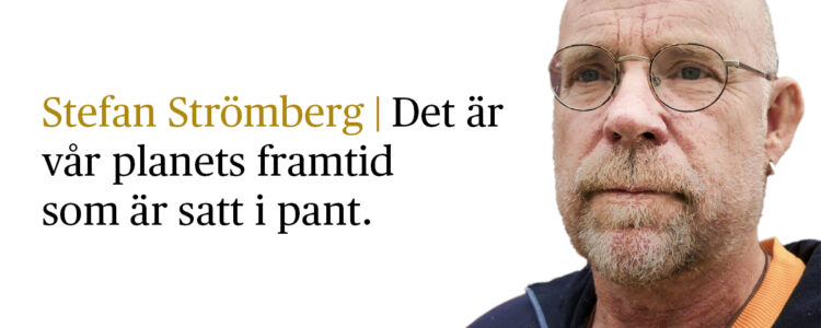 stefan Strömberg med citat