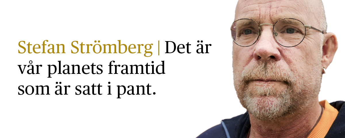 stefan Strömberg med citat