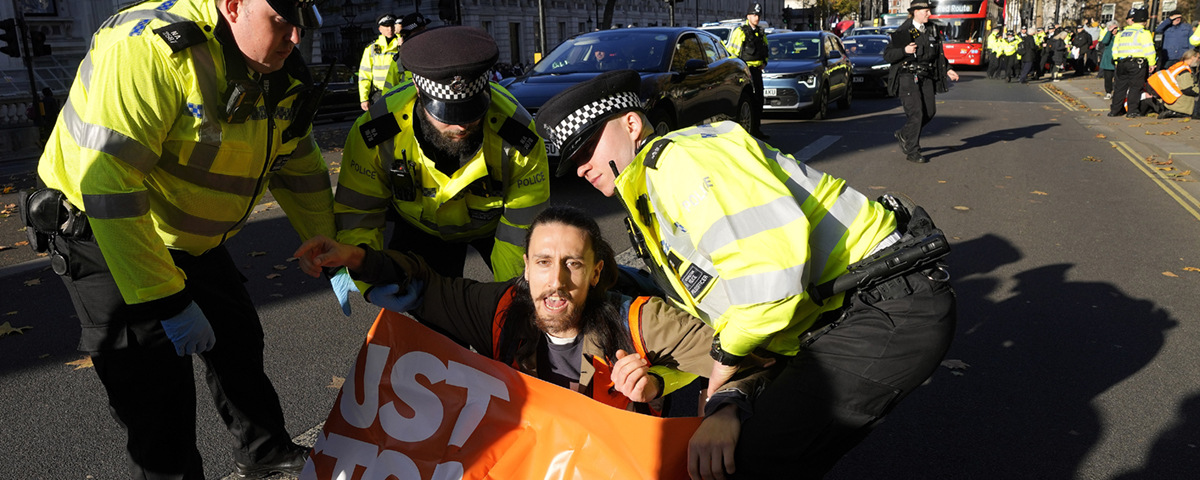 Polisen arresterar demonstrant