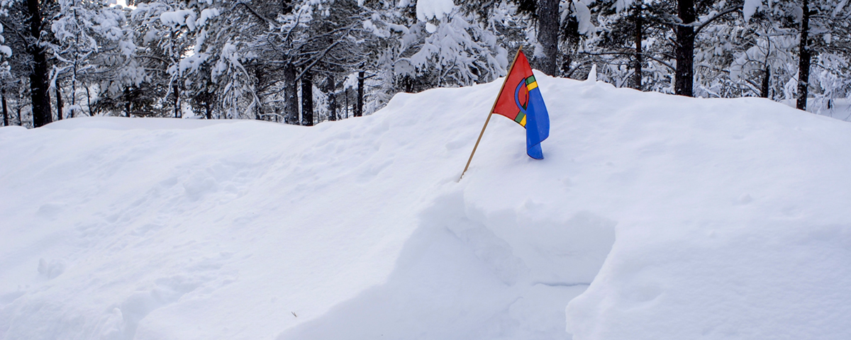 Samisk flagga i snödriva