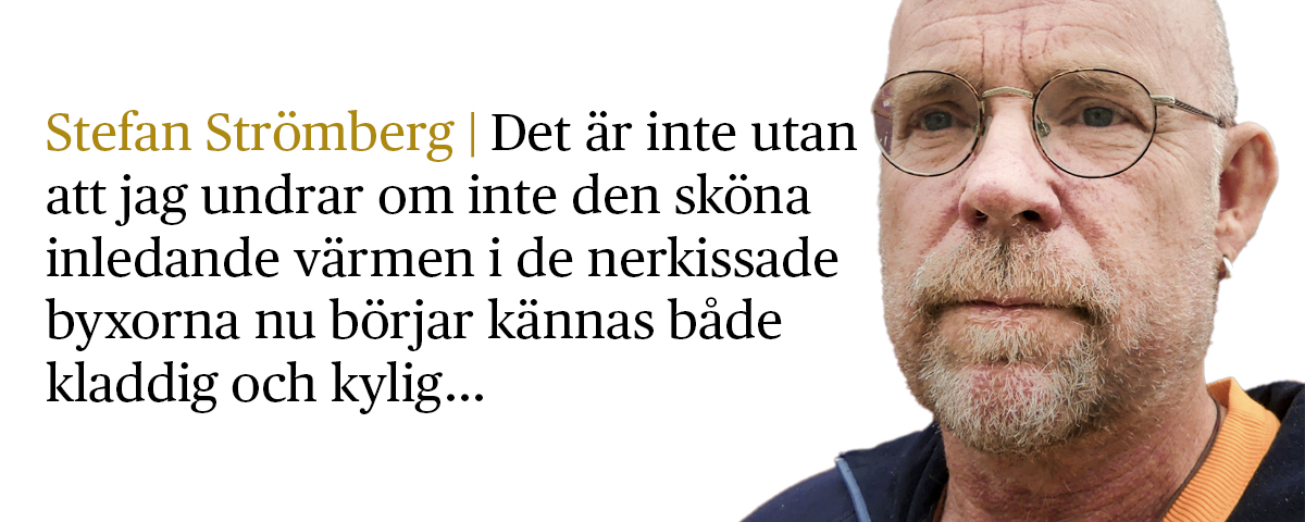 Stefan Strömberg med citat