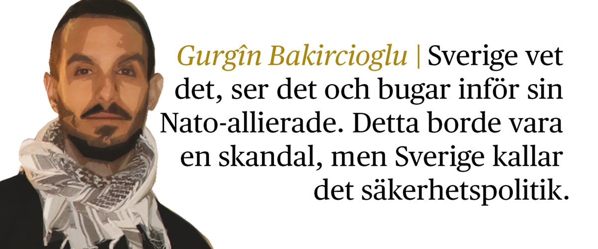 Gurgin Bakircioglu med citat