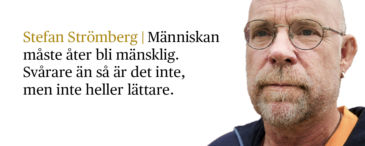 Stefan Strömberg med citat