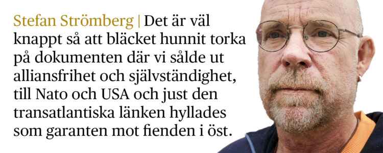 Stefan Strömberg med citat