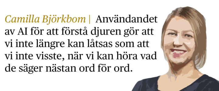 Camilla Björkbom med citat
