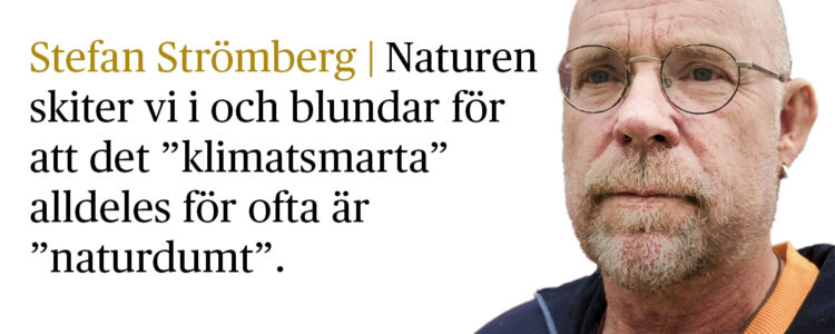 Stefan Strömberg med citat