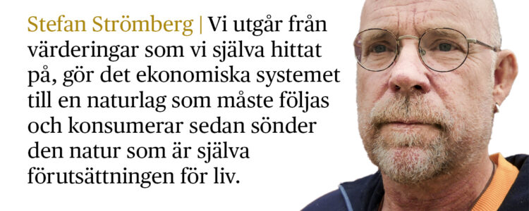 Stefan Strömberg med citat