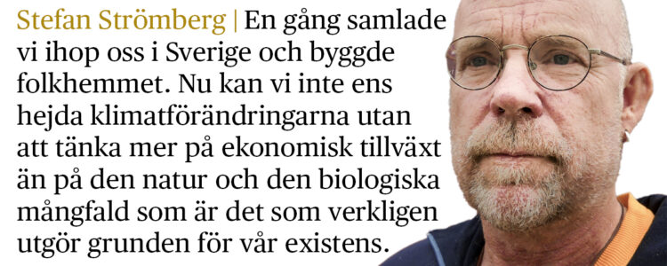 Stefan Strömberg med citat
