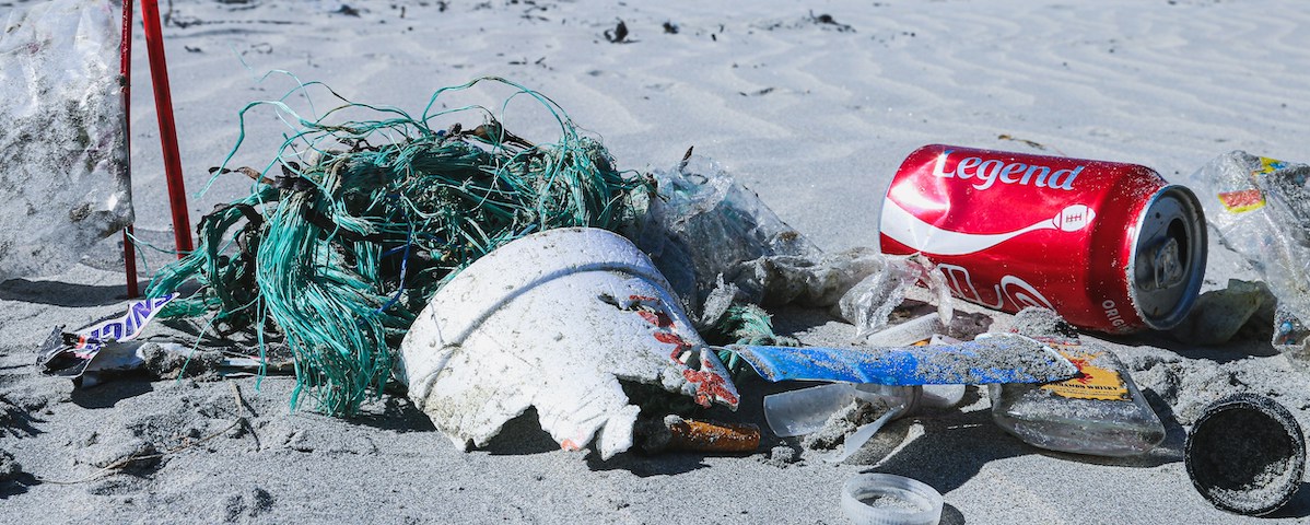 Strandliv och fiske är två källor till marin nedskräpning.