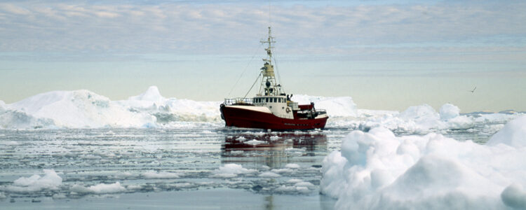 Fiskebåt bland isberg