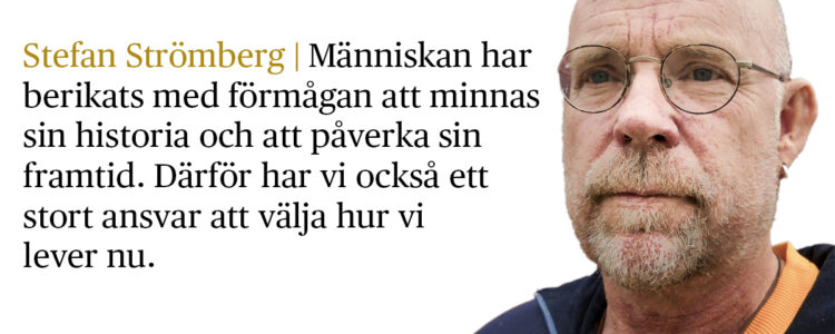 Stefan Strömberg med citat