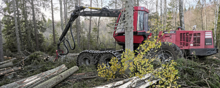skogsmaskin röjer skog