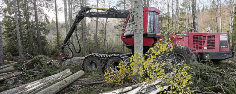 skogsmaskin röjer skog
