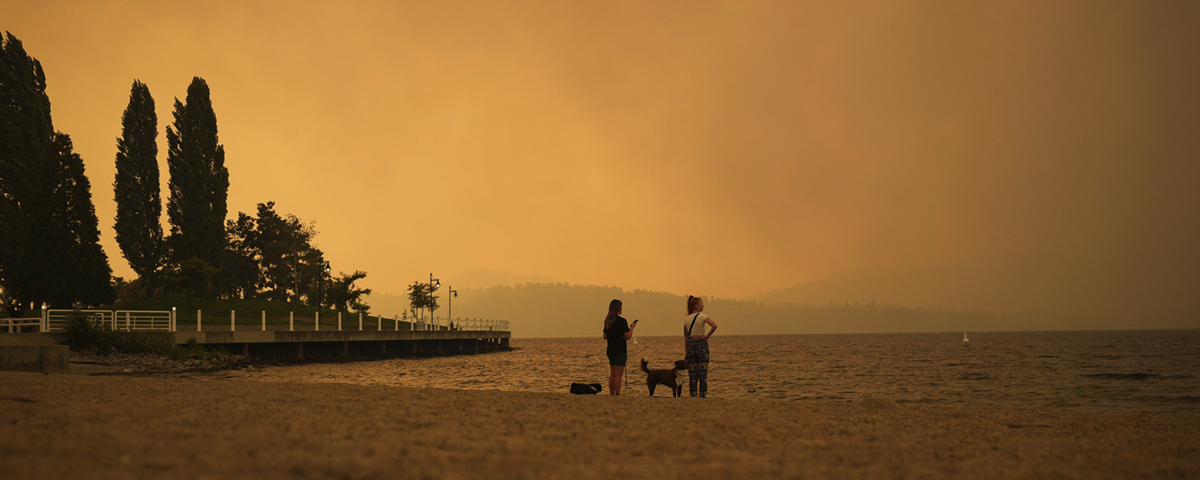soldis i rök från skogsbrand
