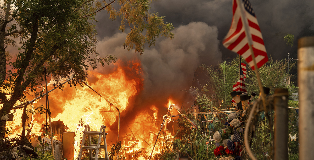 brand bland träd och hhus