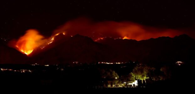 Skogsbrand i nattmörker med orange flammor.