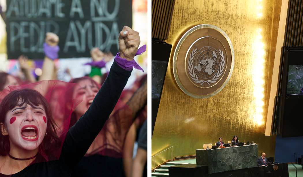 Kvinna håller upp knuten näve på bilden till vänster, till höger en bild från FN:s generalförsamling 2025.