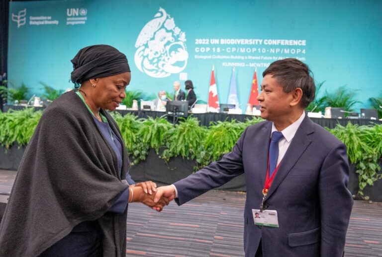 Eve Bazaiba Masudi, vice premiärminister och miljöminister i Demokratiska republiken Kongo skakar hand med Huang Runqiu, Kinas ekologi- och miljöminister, samt ordförande för COP 15.