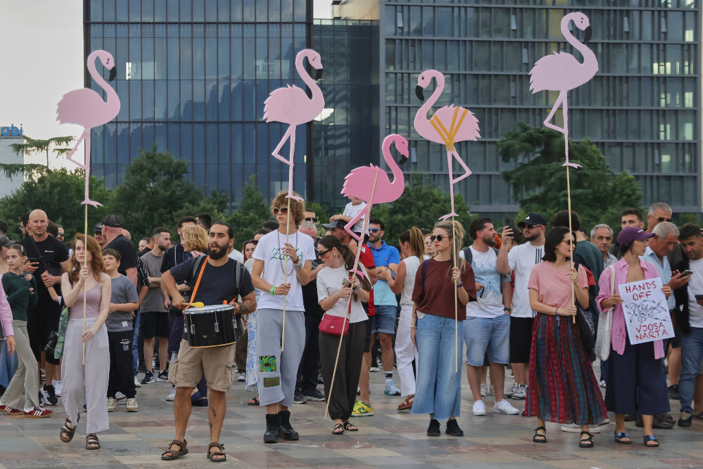 Människor som protesterar håller i bilder på flamingo.