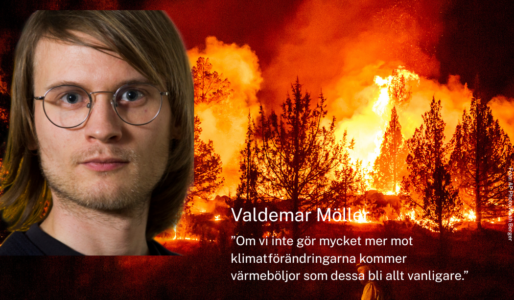Valdemar Möller, skogsbrand i bakgrunden.