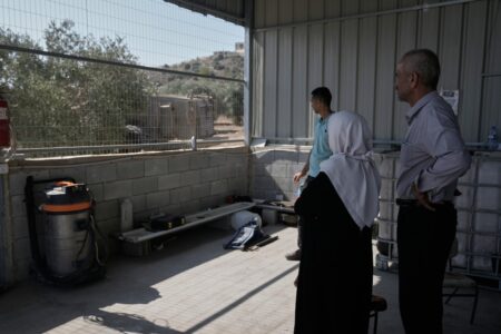 En palestinsk ser på när en israelisk bulldozer drar upp deras olivträd med rötterna.