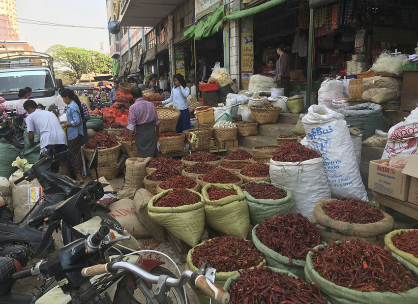 288e62b0e8b60db8b5b2739e41b6dd8d