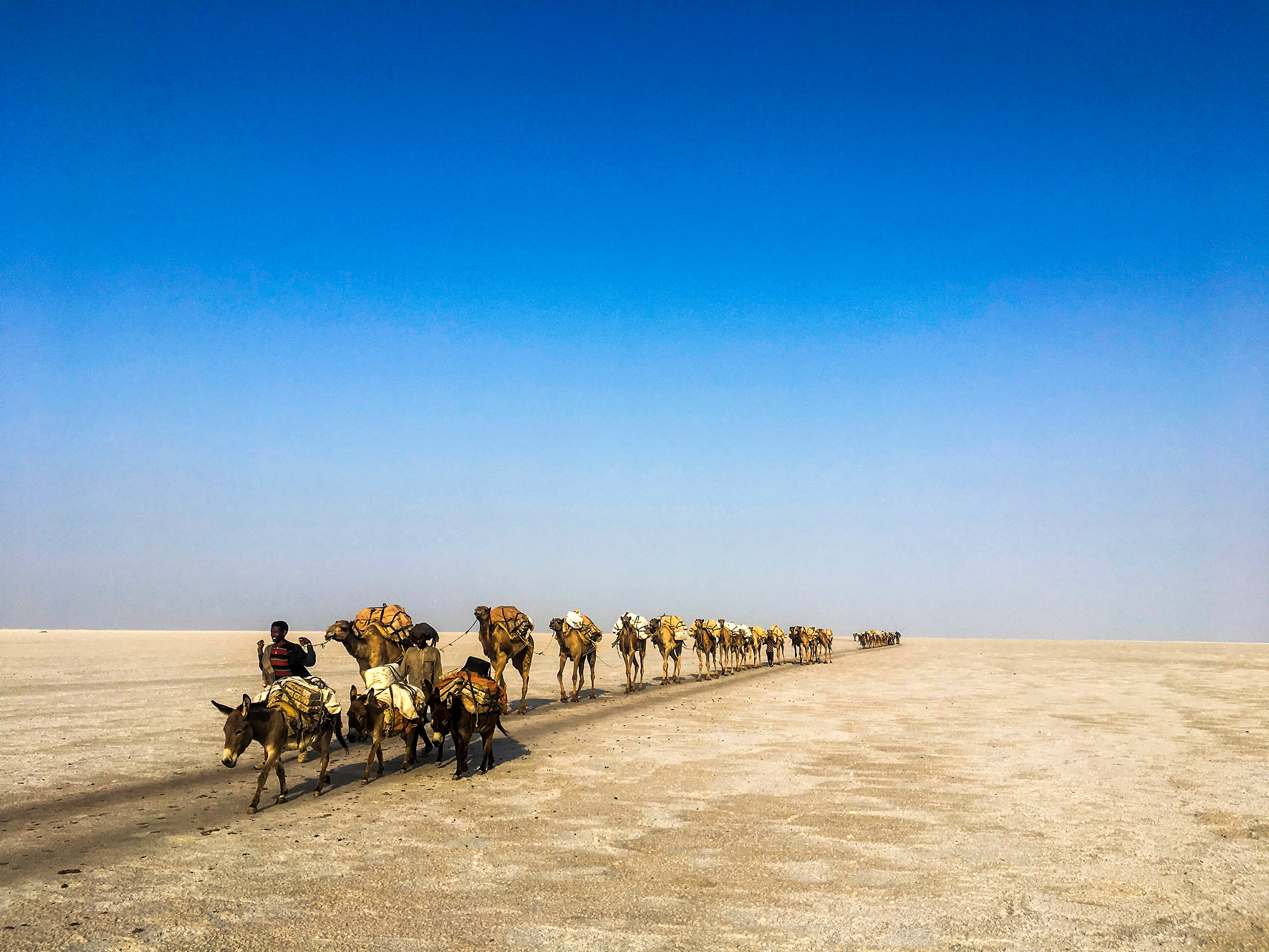 76ec52c711d097957946f2ce809227e2