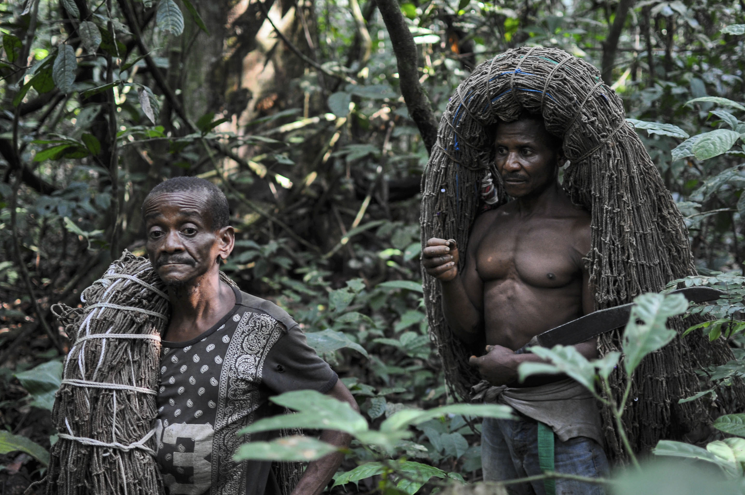 c5be42fd025b30720ffd5714fced9501