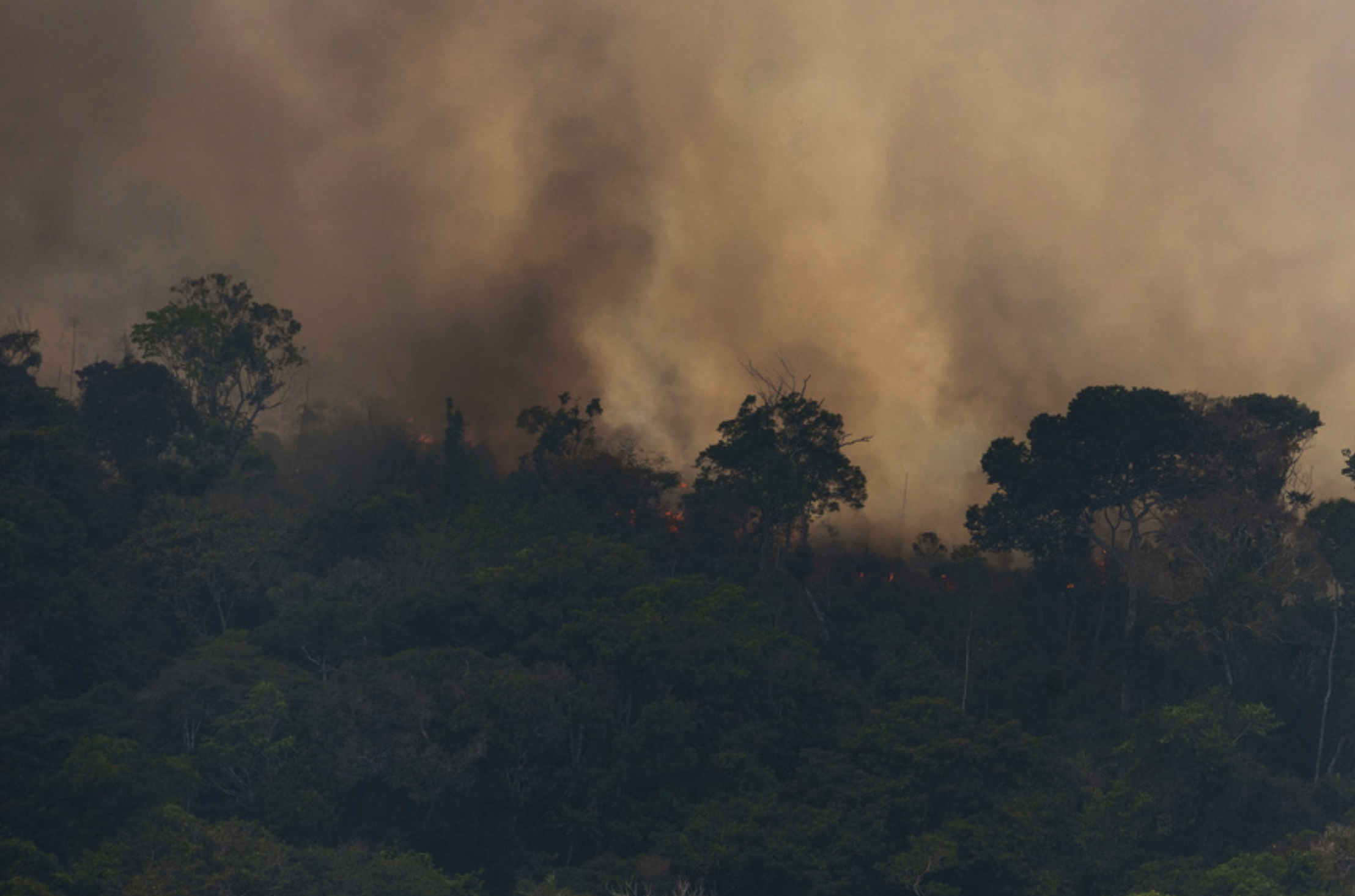 ce05196acbccc11d41359ddce3cca49b